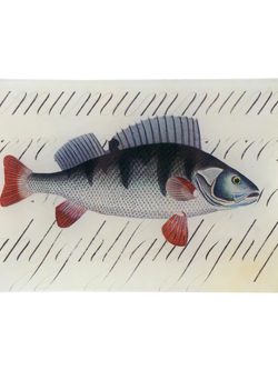 JOHN DERIAN Fish with Script