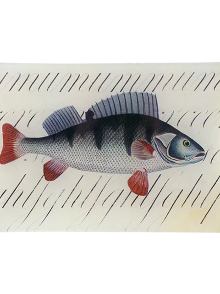 JOHN DERIAN Fish with Script