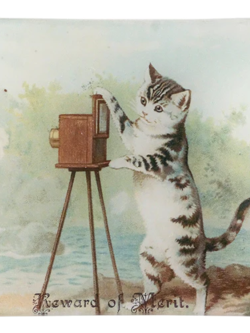 JOHN DERIAN Reward of Merit (Cat)