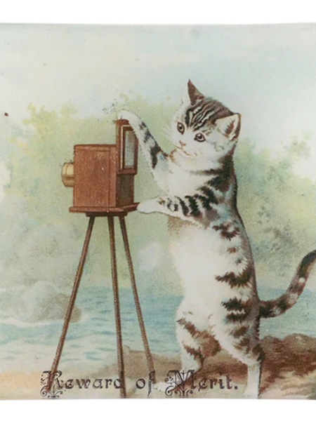 JOHN DERIAN Reward of Merit (Cat)
