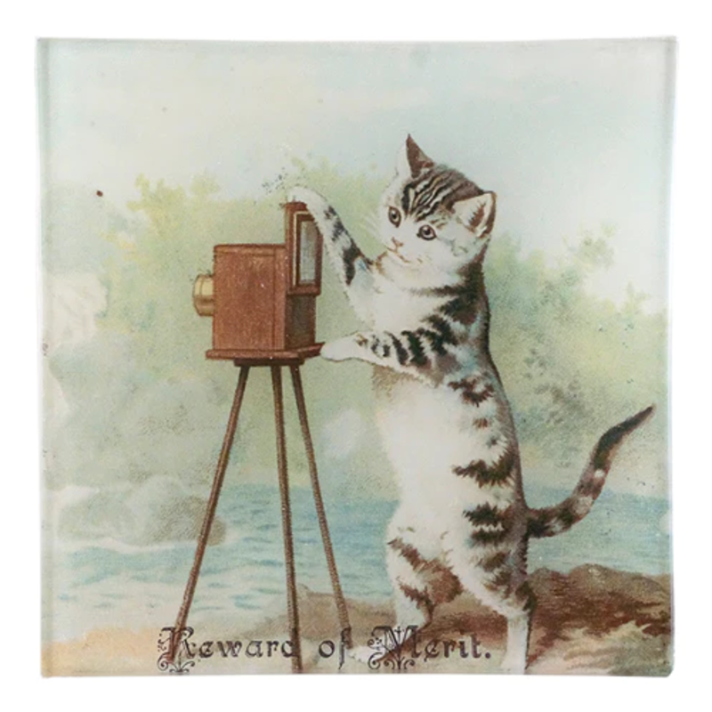 JOHN DERIAN Reward of Merit (Cat) - Un Vide Poche (6" Square)