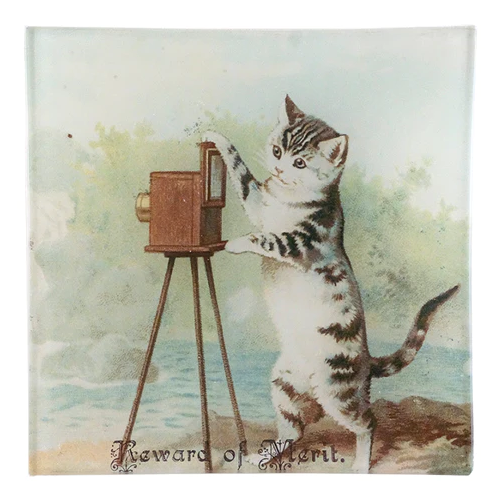 JOHN DERIAN Reward of Merit (Cat)