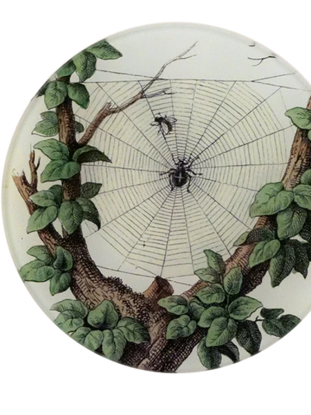 JOHN DERIAN Leafy Web