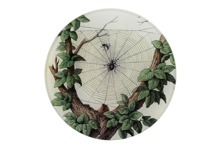 JOHN DERIAN Leafy Web