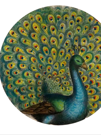 JOHN DERIAN Coy Peacock 16" Round