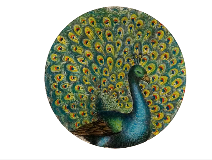 JOHN DERIAN Coy Peacock