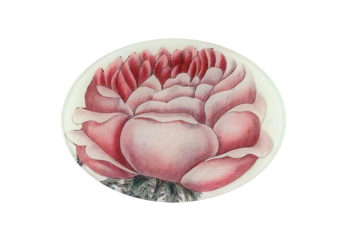 JOHN DERIAN Moss Rose