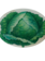 JOHN DERIAN Scrapbook Cabbage