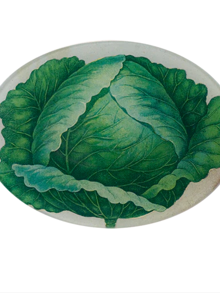 JOHN DERIAN Scrapbook Cabbage