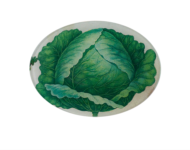 JOHN DERIAN Scrapbook Cabbage