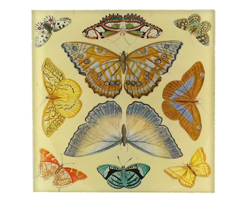 JOHN DERIAN Butterfly Collection 6" Square Spoon Rest