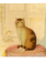 JOHN DERIAN Calm Cat