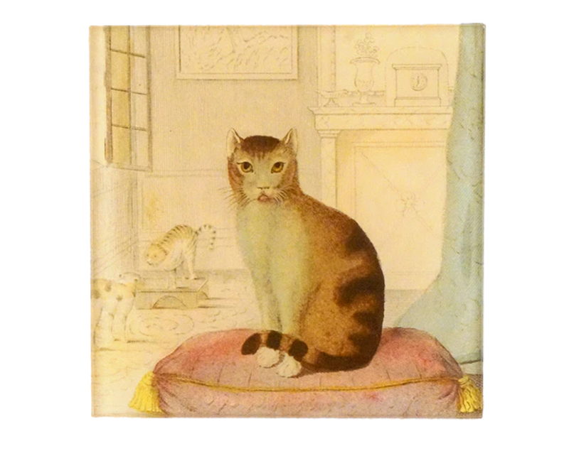 JOHN DERIAN Calm Cat