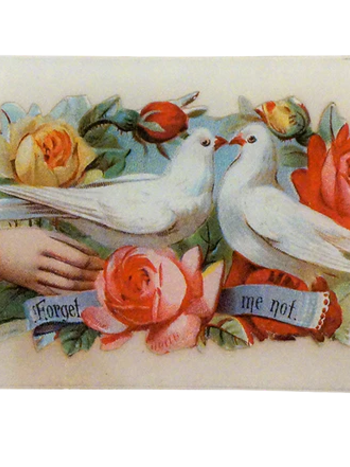 JOHN DERIAN Forget Me Not