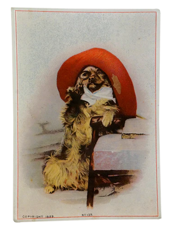 JOHN DERIAN Sam