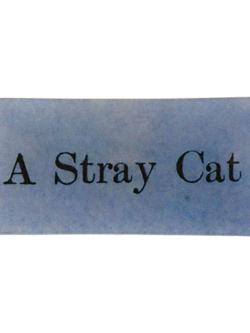 JOHN DERIAN A Stray Cat