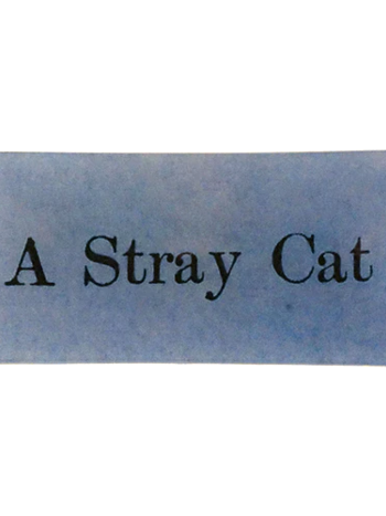 JOHN DERIAN A Stray Cat 3.5 x 7" Rect. Tray
