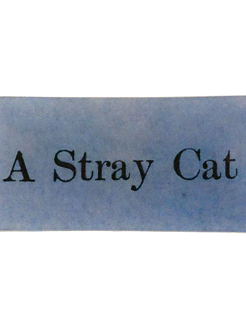 JOHN DERIAN A Stray Cat