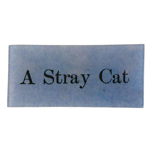 JOHN DERIAN A Stray Cat