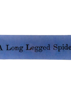 JOHN DERIAN A Long Legged Spider