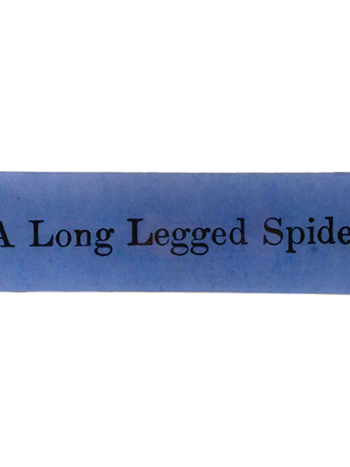 JOHN DERIAN A Long Legged Spider 3.5 x 12" Rect .Tray