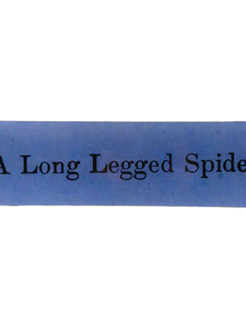 JOHN DERIAN A Long Legged Spider