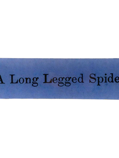 JOHN DERIAN A Long Legged Spider