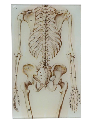 JOHN DERIAN Bones 7 x 11.5" Rect. Tray