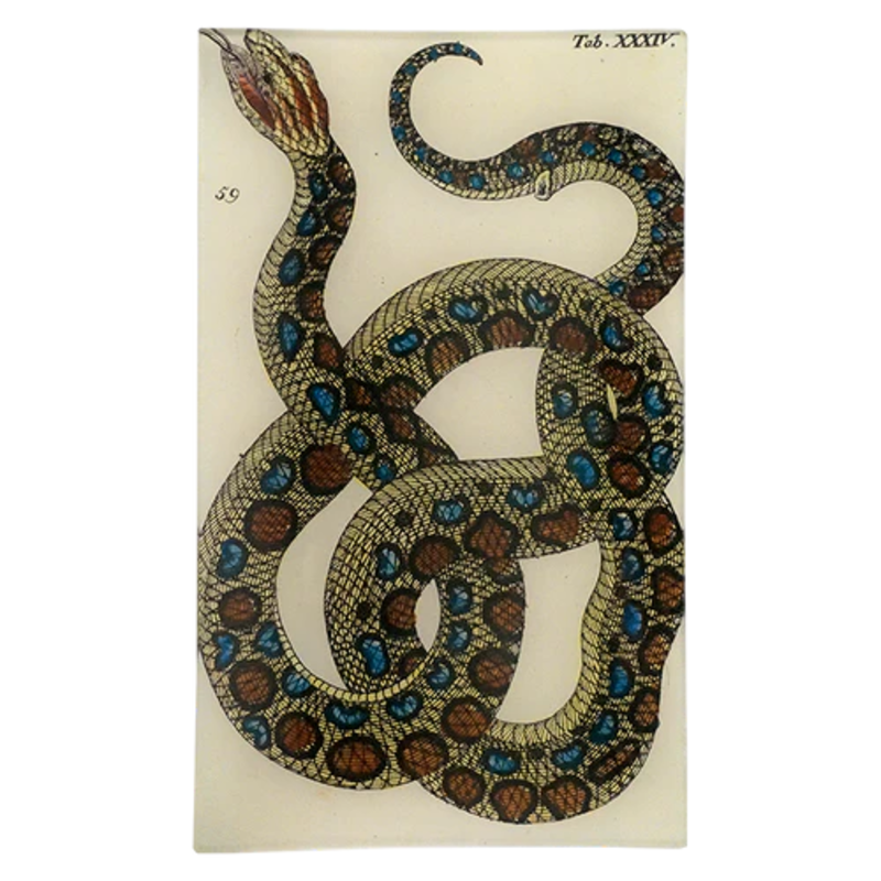 JOHN DERIAN Snake XXXIV 7 x 11.5" Rect. Tray