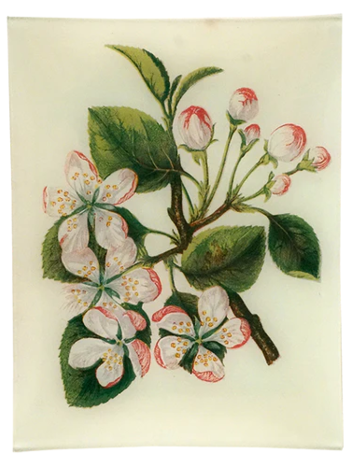 JOHN DERIAN Crab Apple