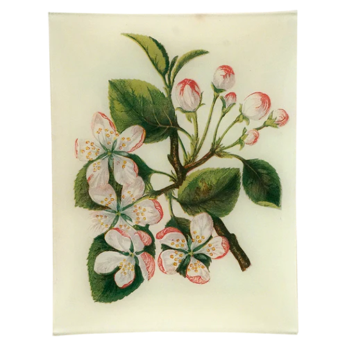 JOHN DERIAN Crab Apple