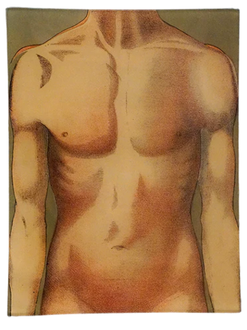 JOHN DERIAN Body Chart 8 x 10.5" Rect. Tray