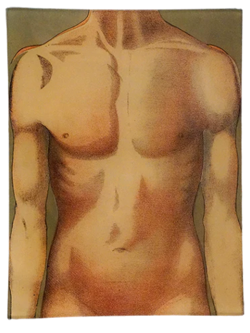 JOHN DERIAN Body Chart