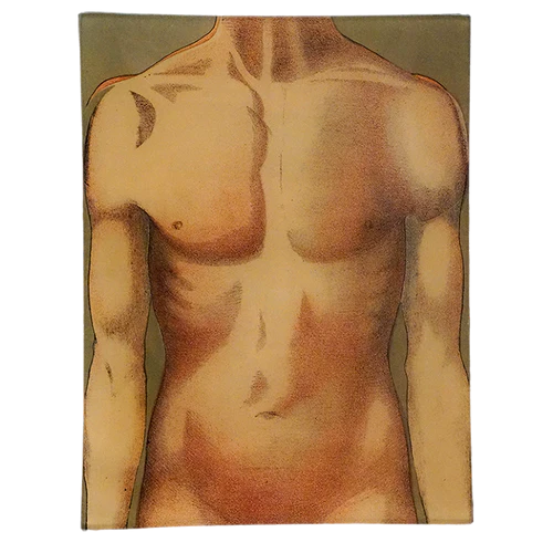 JOHN DERIAN Body Chart