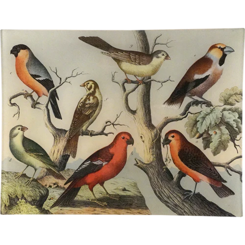 JOHN DERIAN Birds XIV 10 x 13" Rect. Tray
