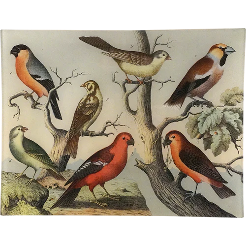 JOHN DERIAN Birds XIV