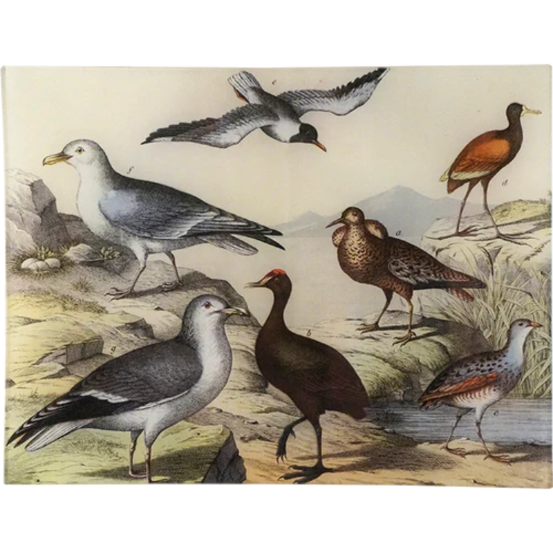JOHN DERIAN Birds XXVII 10 x 13" Rect. Tray
