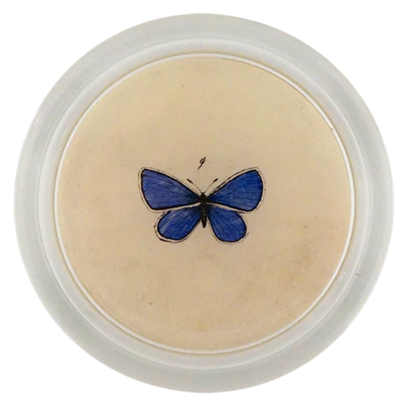 JOHN DERIAN 6" Coaster - Holy Blue Gossamer Wings Butterfly
