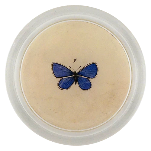 JOHN DERIAN Holy Blue Gossamer Wings Butterfly Coaster