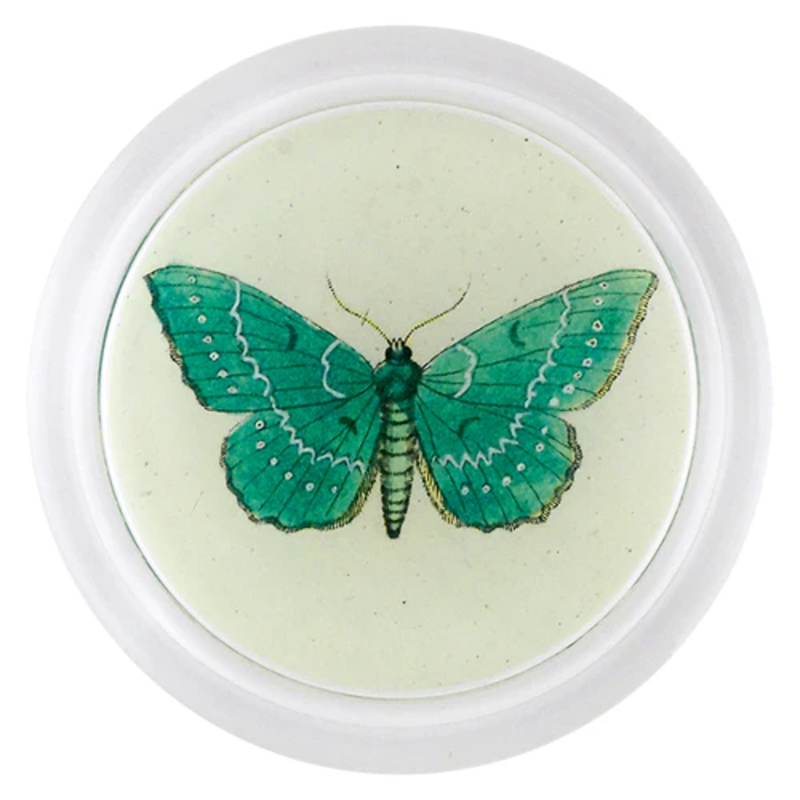 JOHN DERIAN 6" Coaster - Papilionaria (Butterfly)