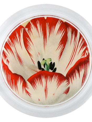JOHN DERIAN 6" Coaster - Red Tulip