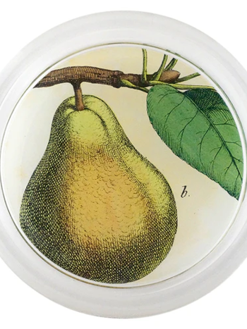 JOHN DERIAN 6" Coaster - Pear