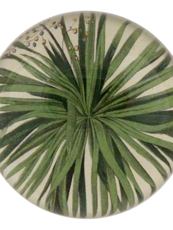 JOHN DERIAN Palm Detail Paperweight