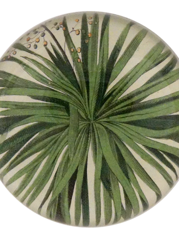 JOHN DERIAN Dome Paperweight - Palm Detail