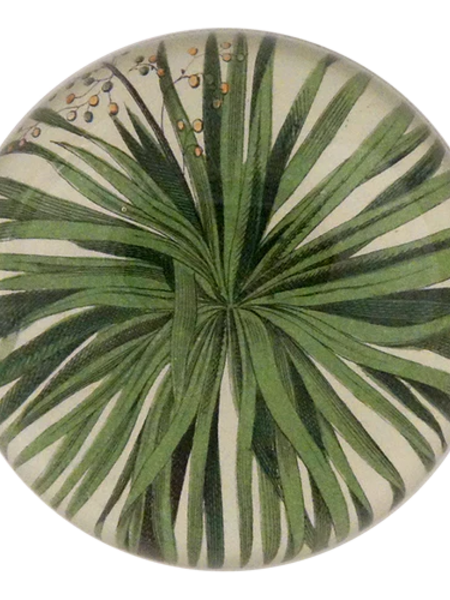 JOHN DERIAN Palm Detail Paperweight