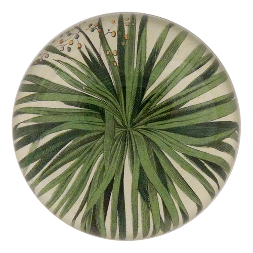 JOHN DERIAN Palm Detail Paperweight