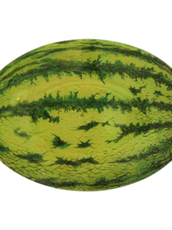 JOHN DERIAN Watermelon