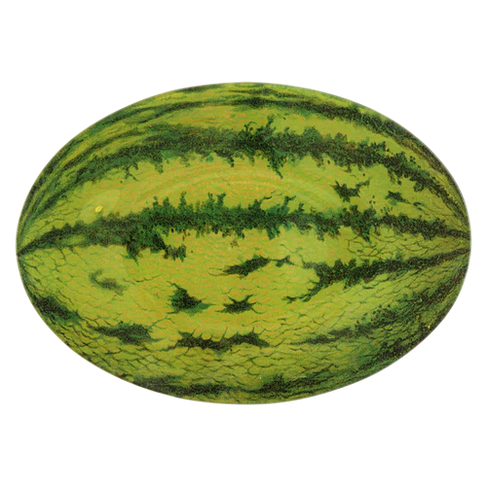 JOHN DERIAN Watermelon