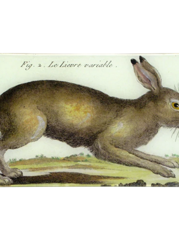 JOHN DERIAN Rabbit