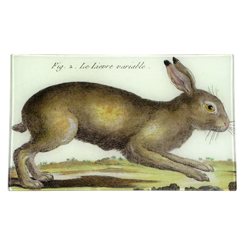 JOHN DERIAN Rabbit